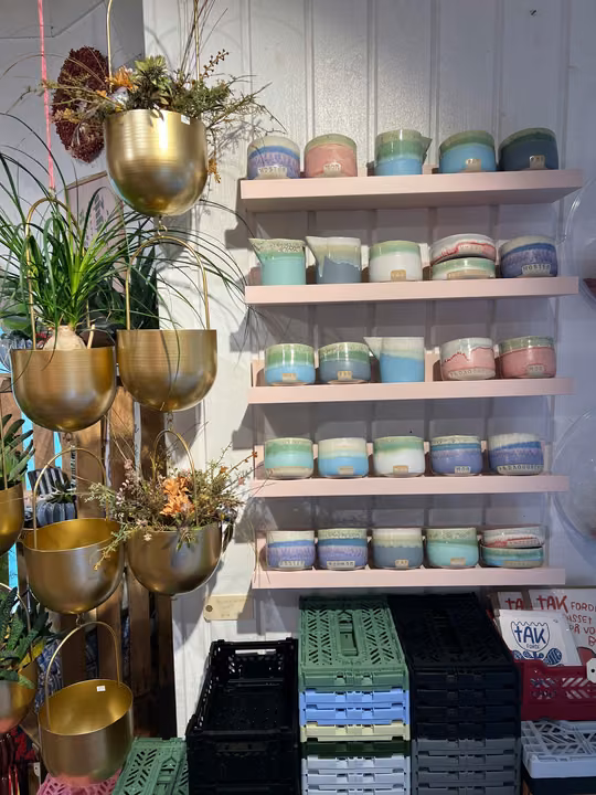 Grønne planter og hylder med pastelfarvede urtepotter